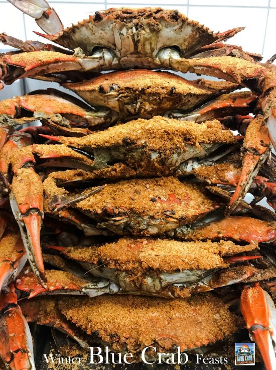 Winter Blue Crab Catch