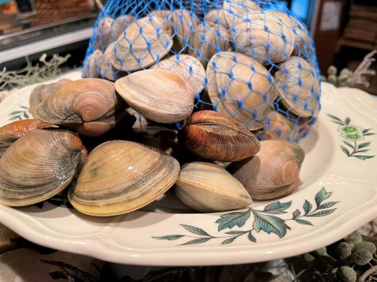 Littleneck Clams