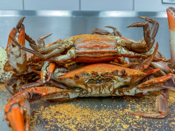 Female Sook Crabs