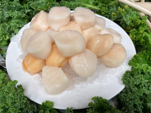 Nantucket Scallops