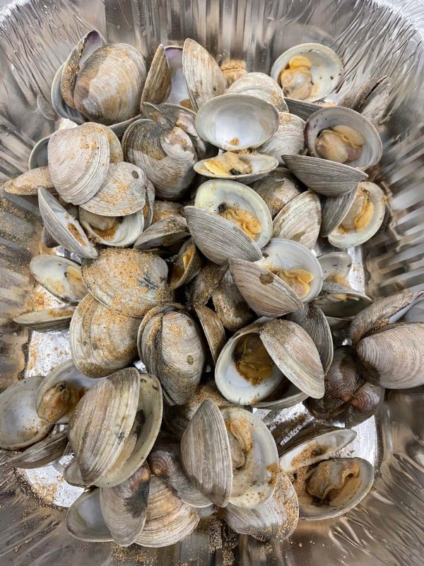Steamed Clams