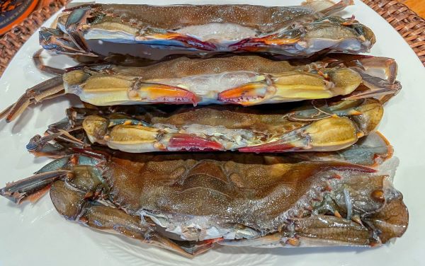 Fresh Soft Shell Crabs