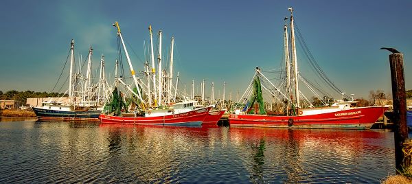 Shrimp boats