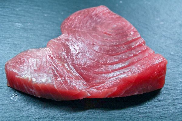 Tuna Medallions