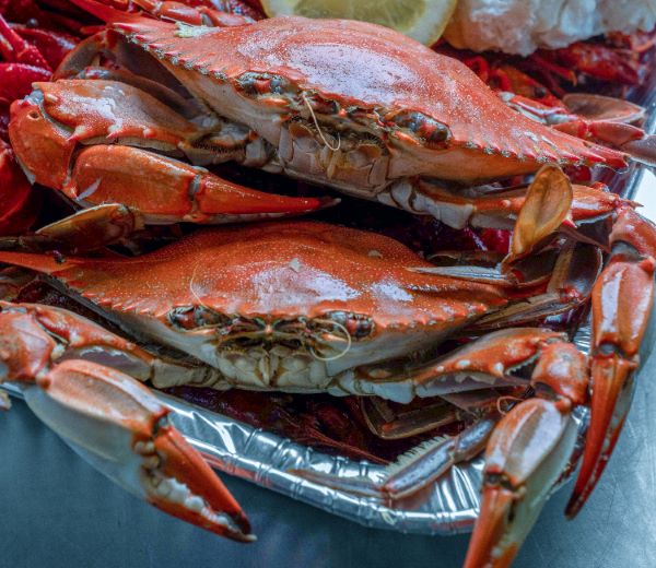 Small Crabs