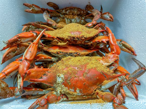 Jumbo Crabs