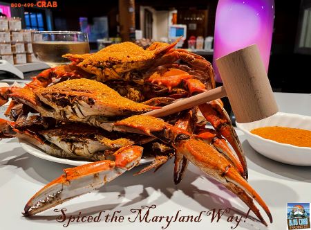 Spiced the Maryland Way