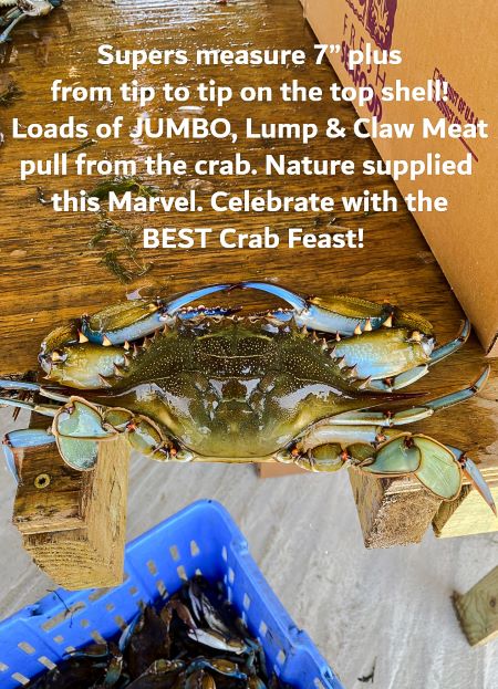 Blue Crab Trading's Super Blue Crab