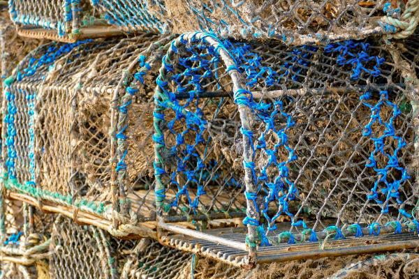 Lobster Pot