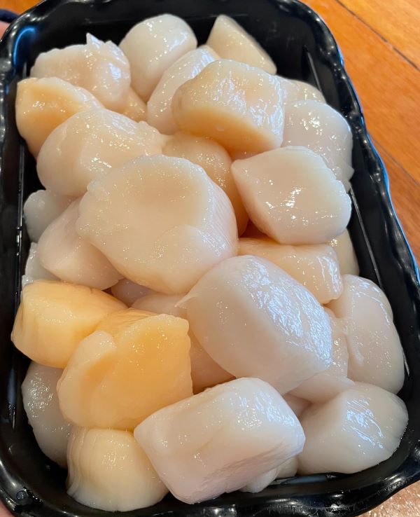 North Atlantic Scallops